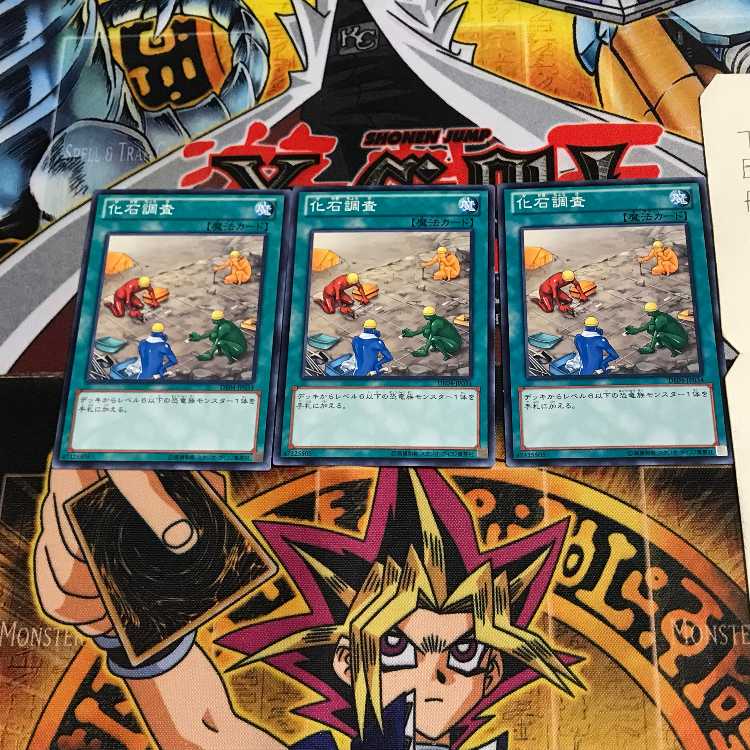 Fossil Dig DE04 3 Normal Set of 3 Tera