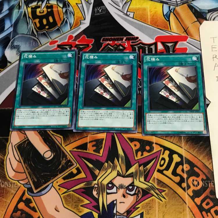 花積み INOV 2 ノーマル 3枚セット てら