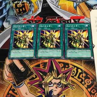 我が身を盾に 303 2 ノーマル 3枚セット てら