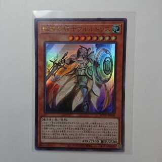 教導の騎士フルルドリス