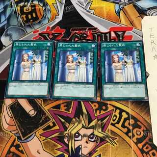 禁じられた聖衣 SD29 5 ノーマル 3枚セット てら