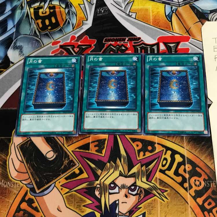 月の書 DS13 2 ノーマル 3枚セット てら