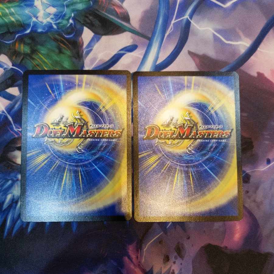 DisRosa den R 24/95 2 sheets