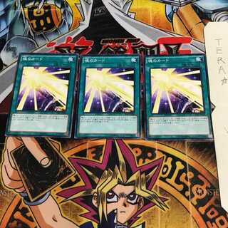 魂のカード TDIL 1 ノーマル 3枚セット てら