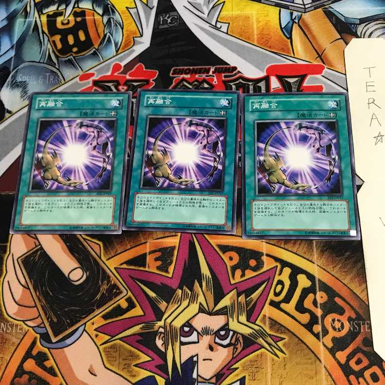 Re-Fusion FET 3 Normal, set of 3 Tera