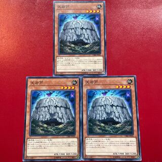 天岩戸 ノーマル JP036