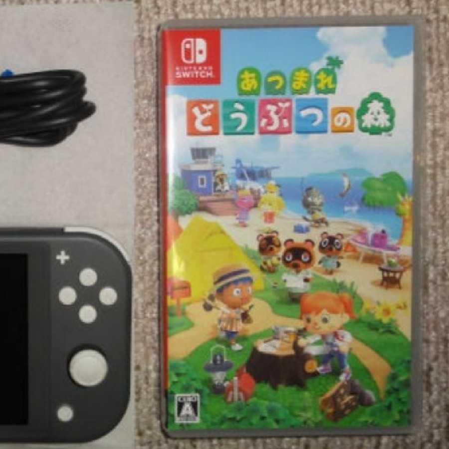 ニンテンドースイッチ どうぶつの森と本体セット