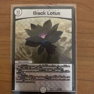 即日発送　ブラックロータス　black lotus