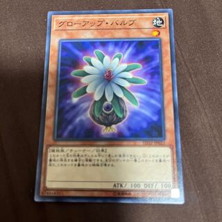 グローアップ・バルブ ノーマル