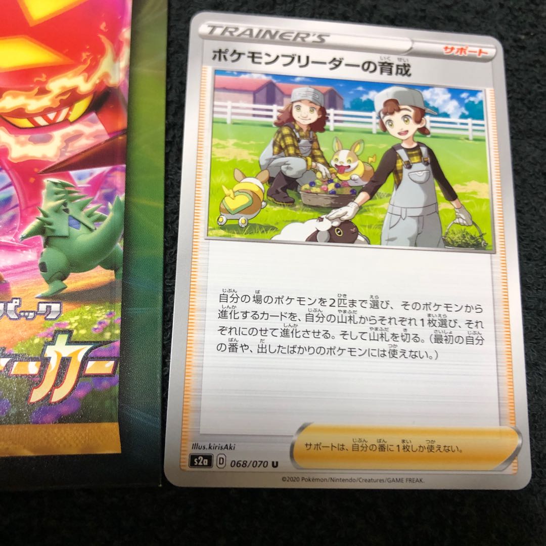 ポケモンブリーダーの育成