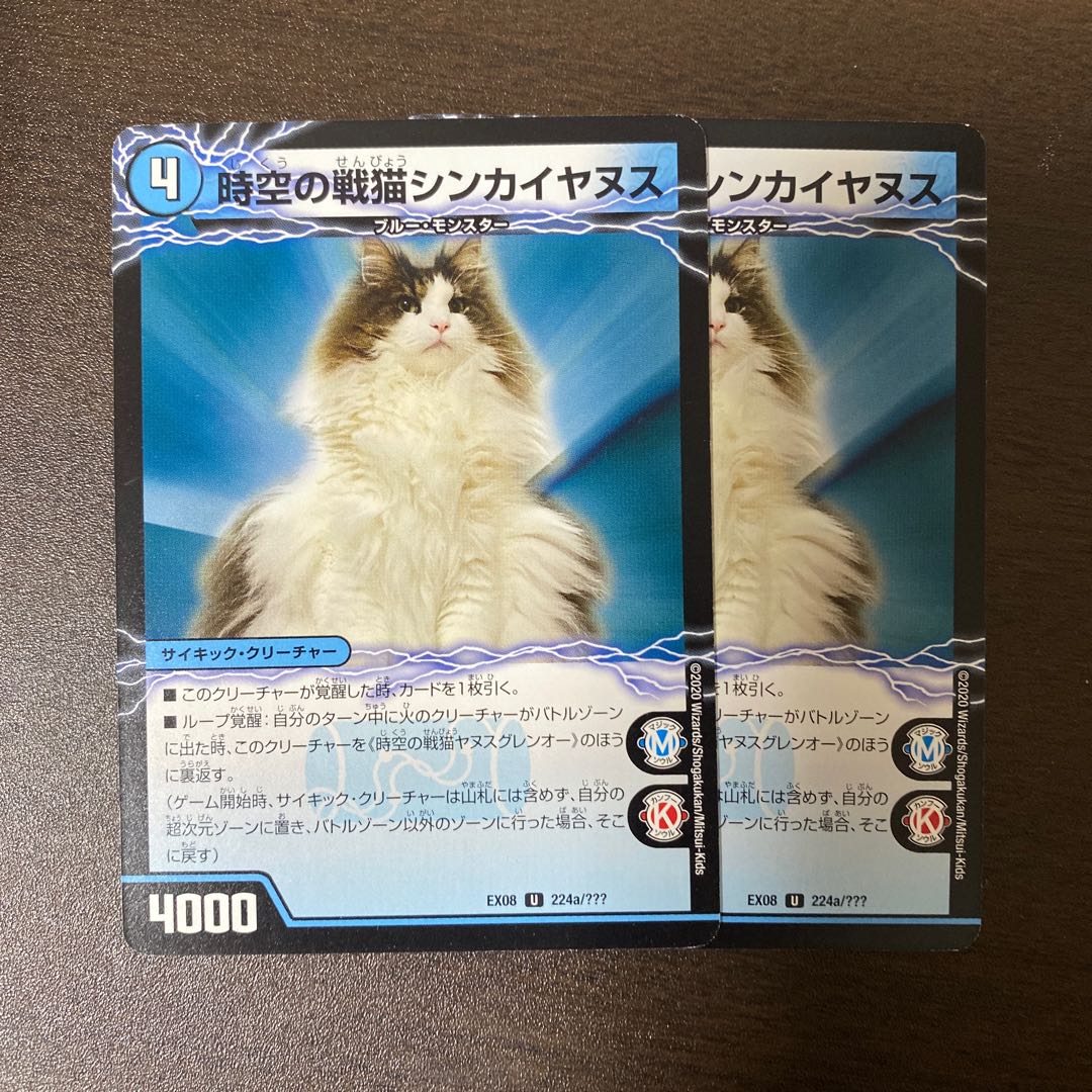 時空の戦猫シンカイヤヌス|時空の戦猫ヤヌスグレンオー U 224a/???|224b/???