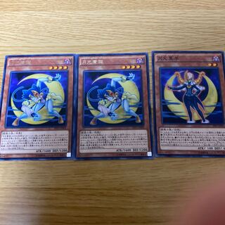 月光蒼猫・月光黒羊