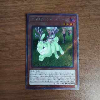 未界域のジャッカロープ EXSE JP014