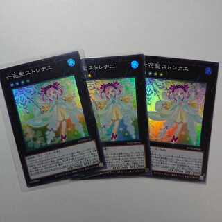 六花聖ストレナエ