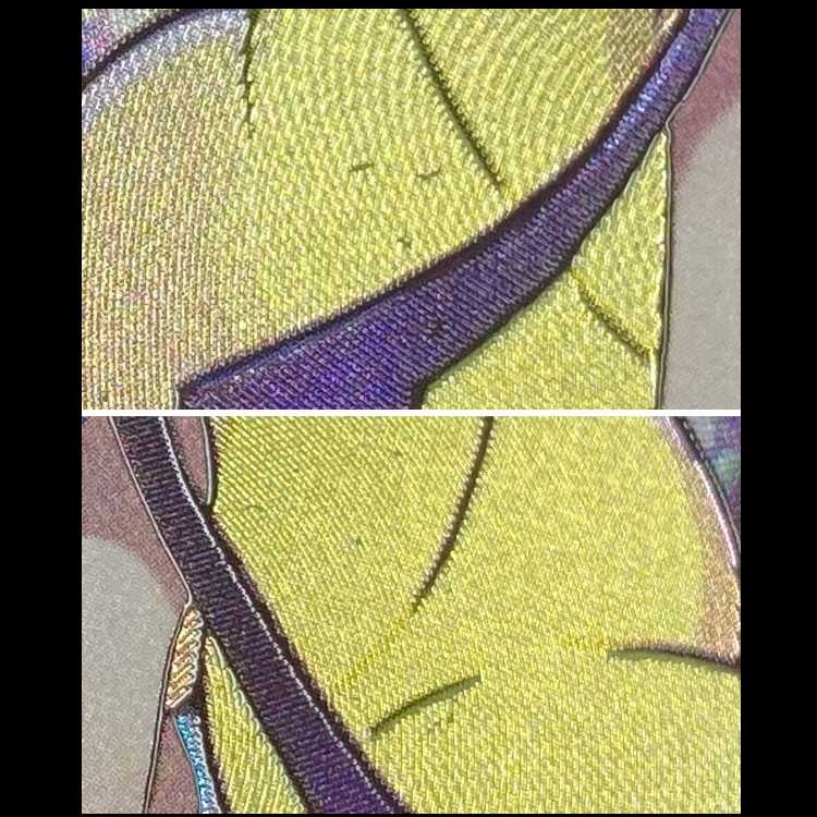 Pokémon Card SR Glint of Elesa S12a 246/172