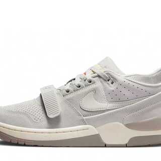 Nike Air Alpha Riryoku88 "Light Bone And Coconut Milk" 31cm
