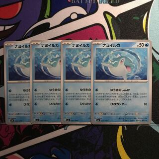 ナミイルカ C 029/108