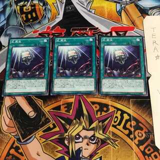 Recardination RATE 2 Normal, set of 3 Tera.