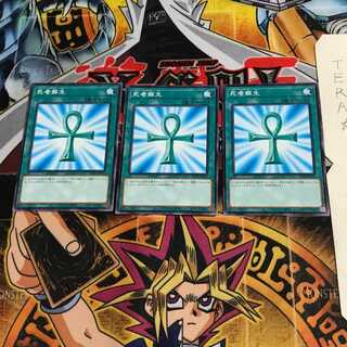 死者蘇生 DP24 8 ノーマル 3枚セット てら