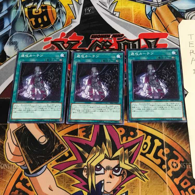 遮攻カーテン RIRA 1 ノーマル 3枚セット てら