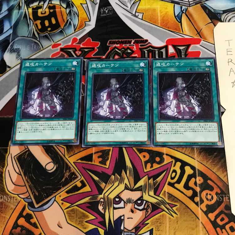 遮攻カーテン RIRA 2 ノーマル 3枚セット てら