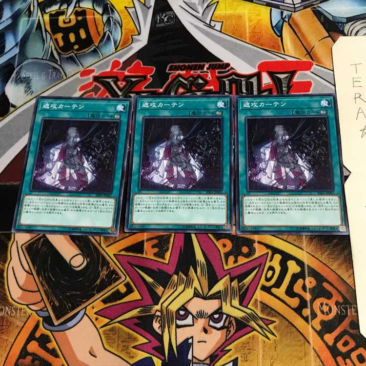 遮攻カーテン RIRA 3 ノーマル 3枚セット てら