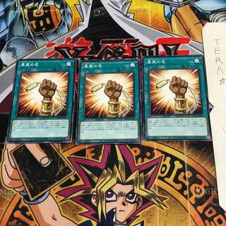 The True Name DP24 9 Normal, set of 3 Tera.