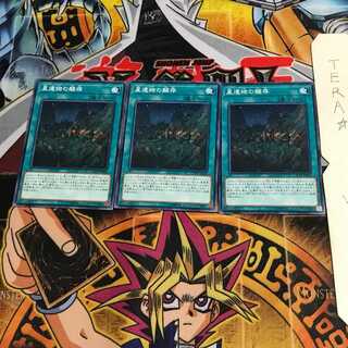 World Legacy Survivor CYHO 3 Normal Set of 3 Tera