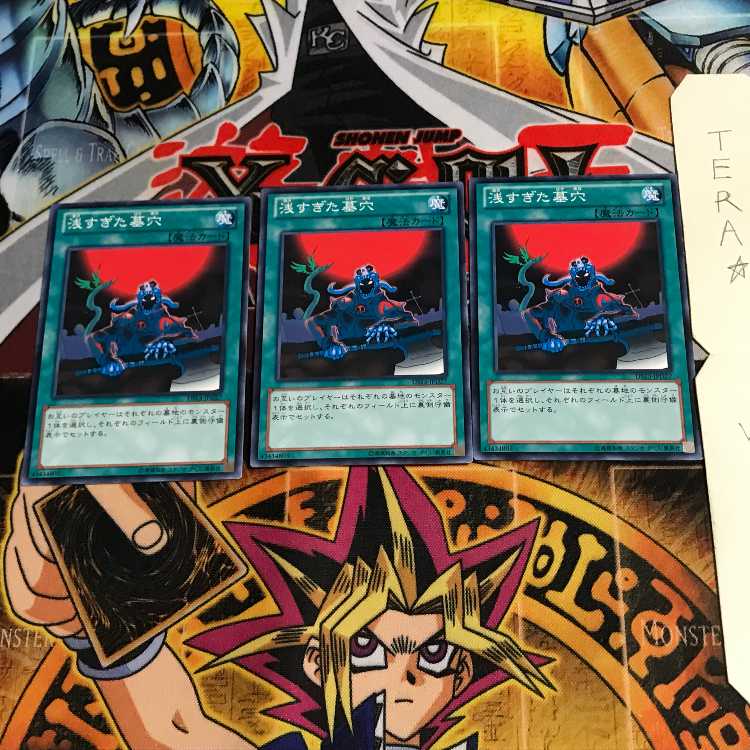 浅すぎた墓穴 DS13 2 ノーマル 3枚セット てら