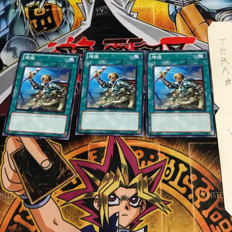 Reinforcements DB12 2 Normal, set of 3 Tera.