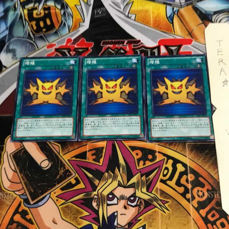 Multiply 15AY 1 Normal Set of 3 Tera.