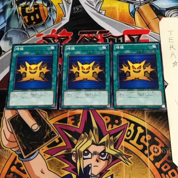 Multiply TP15 1 Normal, set of 3 Tera.