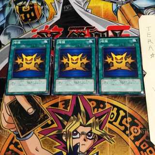 Multiply TP15 1 Normal, set of 3 Tera.