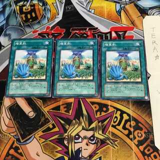 増草剤 CSOC 1 ノーマル 3枚セット てら