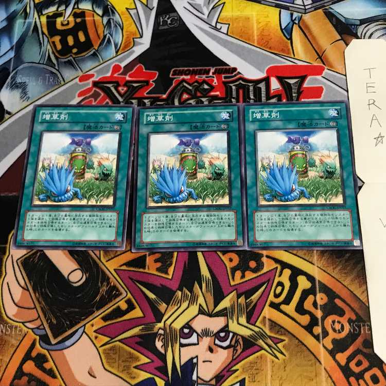 増草剤 CSOC 2 ノーマル 3枚セット てら