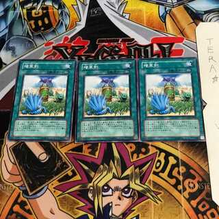 増草剤 CSOC 2 ノーマル 3枚セット てら