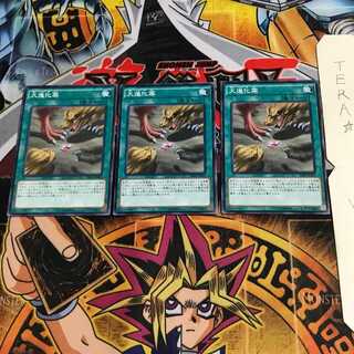 大進化薬 SR04 2 ノーマル 3枚セット てら