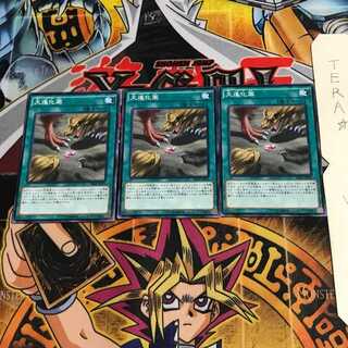 大進化薬 SR04 3 ノーマル 3枚セット てら