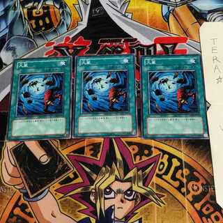 Heavy Storm GS01 1 Normal, set of 3 Tera.