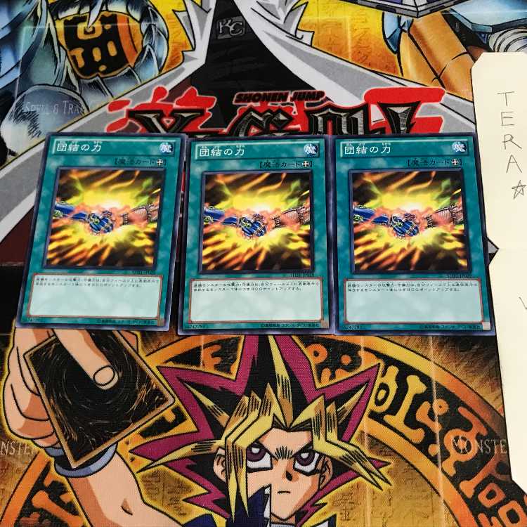 Strength of Unity SD21 2 Normal, set of 3 Tera.