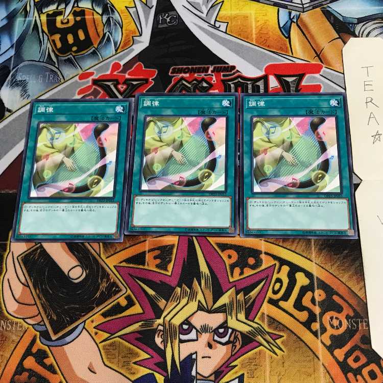 調律 DP23 6 ノーマル 3枚セット てら