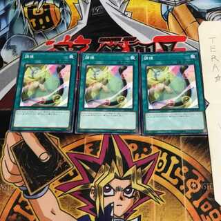 調律 DP23 8 ノーマル 3枚セット てら