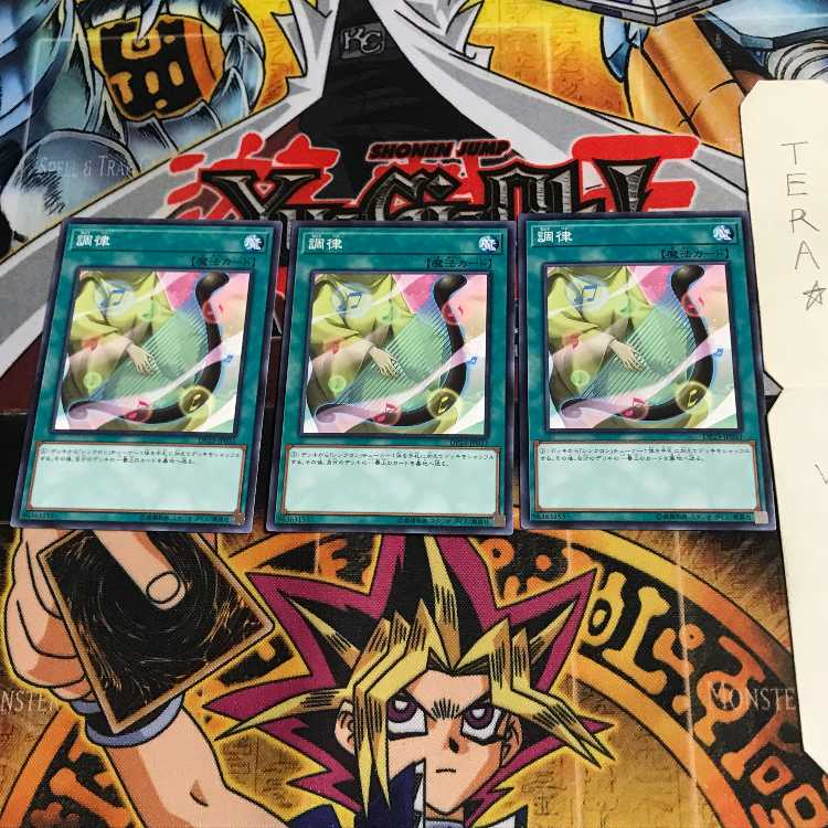 調律 DP23 9 ノーマル 3枚セット てら