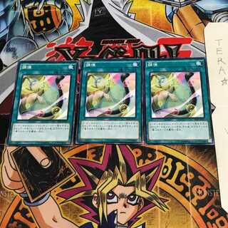 調律 SD28 4 ノーマル 3枚セット てら