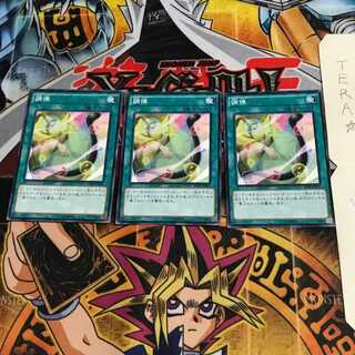 調律 SD28 5 ノーマル 3枚セット てら