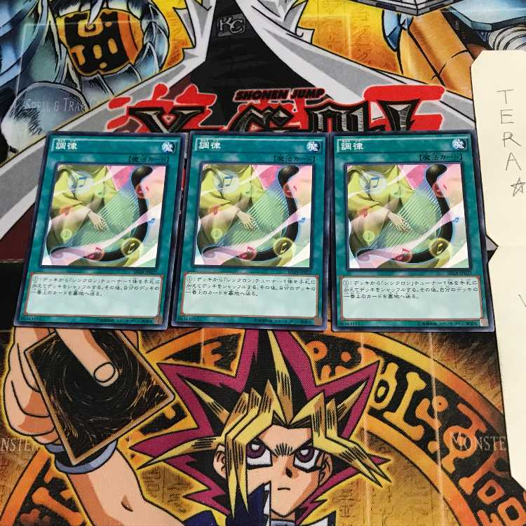 調律 SD28 6 ノーマル 3枚セット てら