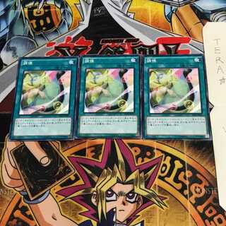 調律 SD28 8 ノーマル 3枚セット てら