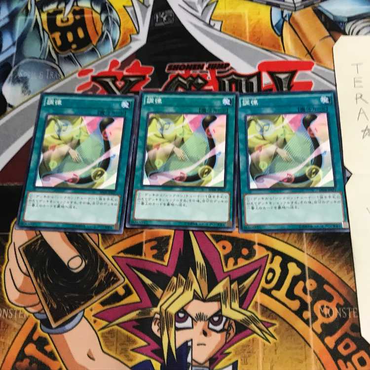 調律 SD28 10 ノーマル 3枚セット てら