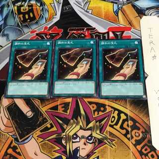 調和の宝札 SR11 1 ノーマル 3枚セット てら