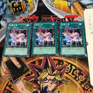 超進化薬 EE2 1 ノーマル 3枚セット てら